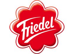 Friedel Logo - www.werbung-schenken.de